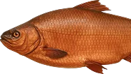 /img/catalog/hot-smoked-fish.webp